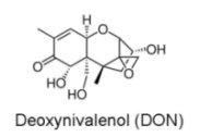  Deoxynivalenol (DON)