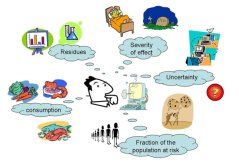 integrated model integrated model