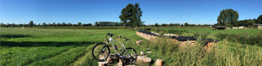 MI BICYCLE banner.png MI BICYCLE banner.png