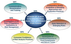 Input from the different Workpackages into the design of a New Integrated Risk Analysis Framework Input from the different Workpackages into the design of a New Integrated Risk Analysis Framework