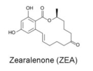 Zearalenone (ZEA)