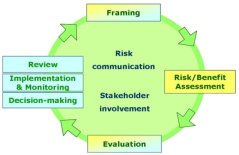 Current SAFE FOODS Risk Analysis Model at a Functional Level Current SAFE FOODS Risk Analysis Model at a Functional Level