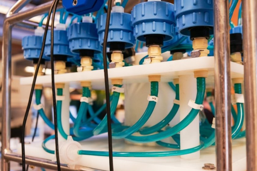 Foto: Marleen den Hartog