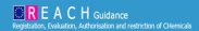 REACH Guidance REACH Guidance