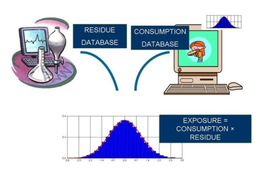 modelling of exposure