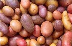 Potato Potato