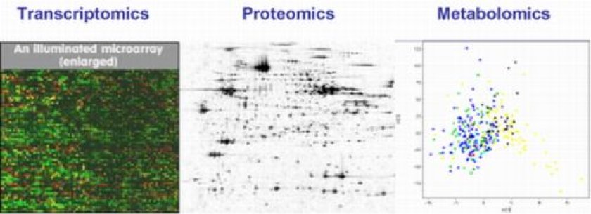 A typical output from the three omics profiling techniques A typical output from the three omics profiling techniques