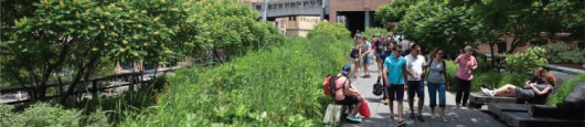 Van decorgroen naar functioneel groen - Stad + Groen, oktober 2020 Van decorgroen naar functioneel groen - Stad + Groen, oktober 2020