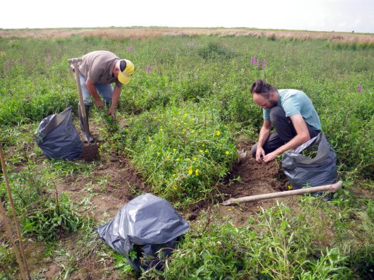 Het &ldquo;waterteunisteam&rdquo; verwijdert handmatig kleine groeiplekken
