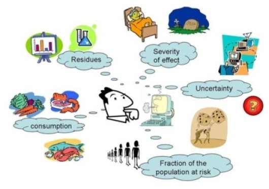 dietary exposure assessment