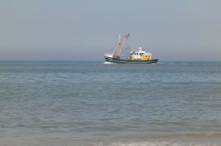contaminants in marine water interlaboratory testing