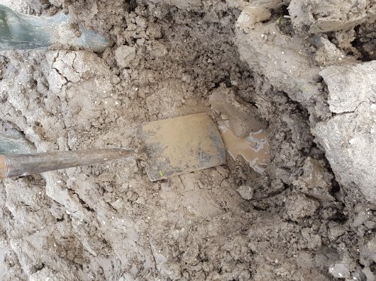 Snelle uitdroging - foto februari 1.jpg