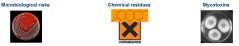 microbiological risks, chemical residues and mycotoxins
