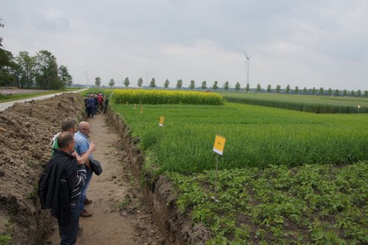 wat gewas met bodem doet.JPG